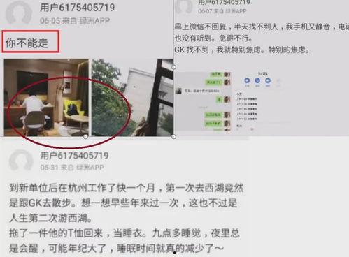 在线吃瓜曝光网站大全免费,免费畅享娱乐资讯盛宴