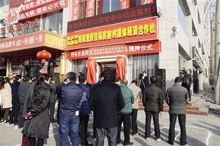 西安爆料高陵案件最新,西安爆料揭示惊人内幕 第3张 西安爆料高陵案件最新,西安爆料揭示惊人内幕 第3张